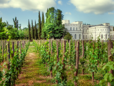 Mukhrani-16x93 (1) mukhrani