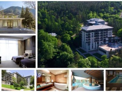 Collage of a modern hotel in a wooded area, showing the exterior building and several interior rooms and amenities (bedrooms, spa, pool).